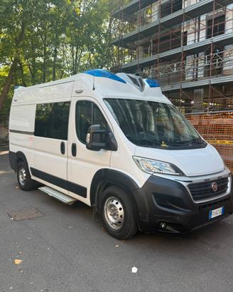 fiat ducato camperizzato e  da camperizzare