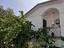 Immagine 6