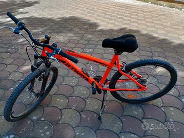 bicicletta Mountain bike