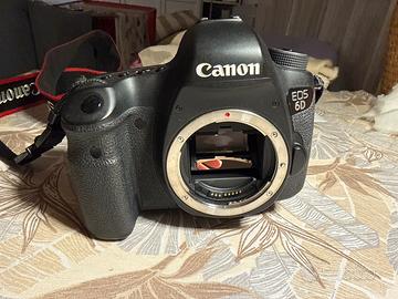 Canon 6D
