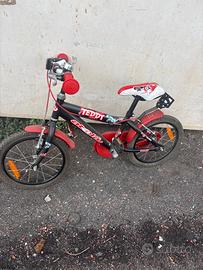 Bicicletta