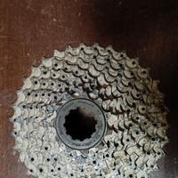 Pacco Pignoni Shimano 11-34 9v