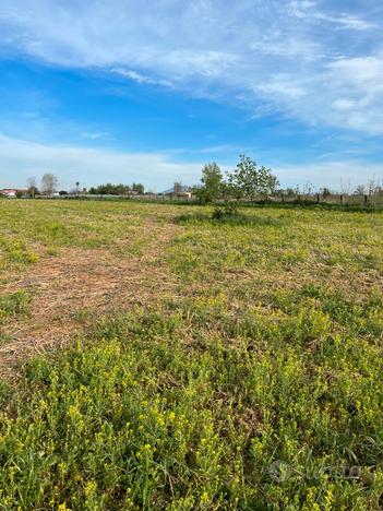 Terreno in vendita Aversa sud