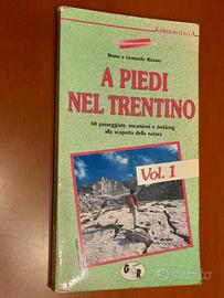 "A piedi nel Trentino (Vol. 1)