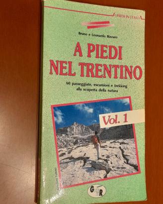 "A piedi nel Trentino (Vol. 1)