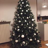 ALBERO DI NATALE
