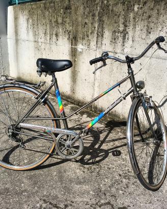 bicicletta