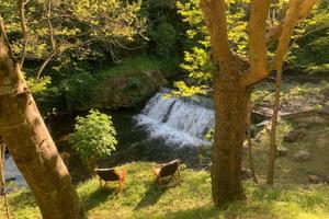 Casa Vacanza La Cascata - Relax nella natura