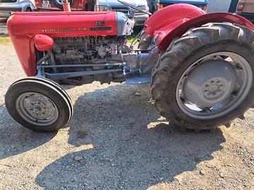 Massey ferguson trattore agricolo d'epoca