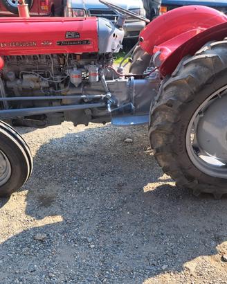 Massey ferguson trattore agricolo d'epoca