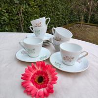 Set 6 tazzine Wunsiedel Bavaria Germany.