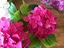 Immagine 13