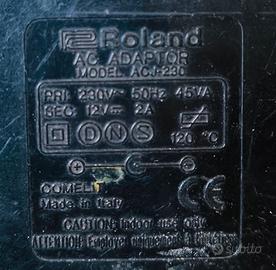 Roland ACJ  230