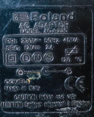 Roland ACJ  230