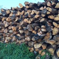 Legna da ardere