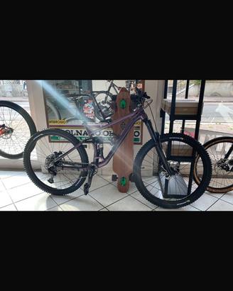 Bici da enduro