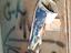 Immagine 6