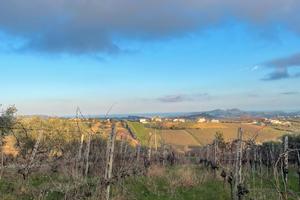Terreno agricolo torano nuovo 5500 mq vigneto
