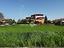 Immagine 6