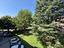 Immagine 24