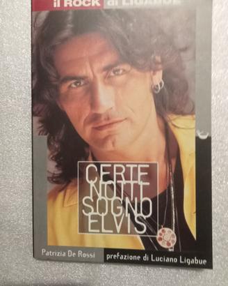 Certe notti sogno Elvis. Il rock di Ligabue
