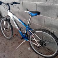 biciclette