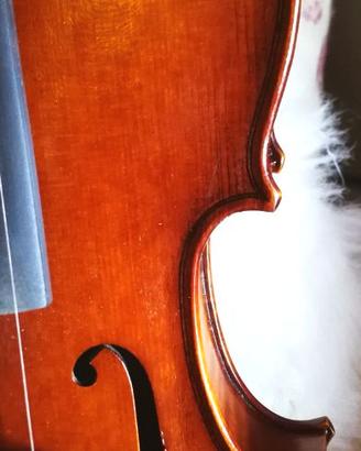 Violino 4/4