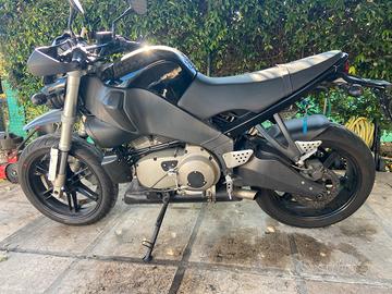 Buell STT