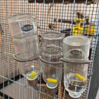 Borracce in vetro TRIXIE