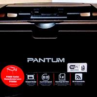 Stampante Pantum P2500 Series