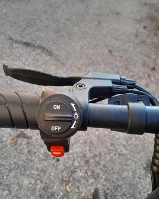 bici elettrica 