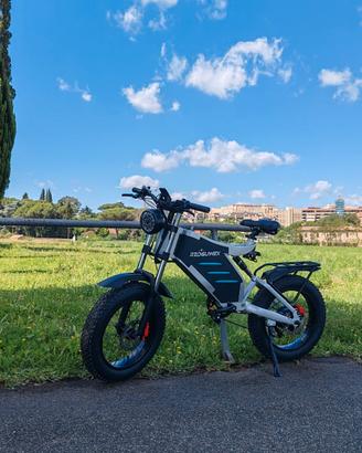 bici elettrica RZOGUWEX 20 Pollici