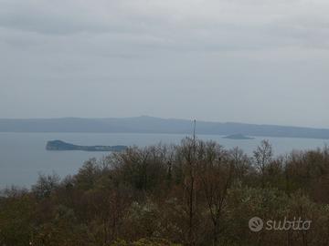 Terreno agricolo con vista sul lago di Bolsena