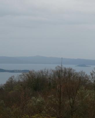 Terreno agricolo con vista sul lago di Bolsena