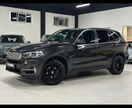 BMW X5 xDrive40e Business