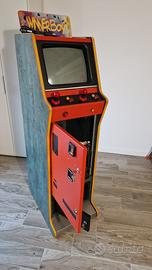 Videogioco winer boys