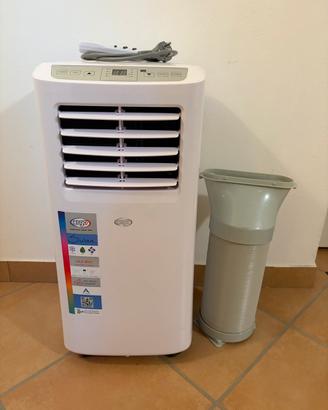 Climatizzatore deumidificatore portatile Argo Swan