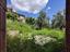 Immagine 25