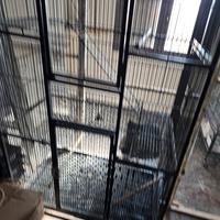 Voliera per uccelli in ferro