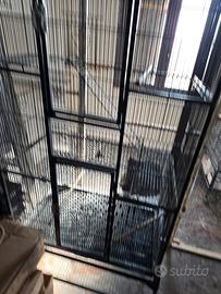 Voliera per uccelli in ferro