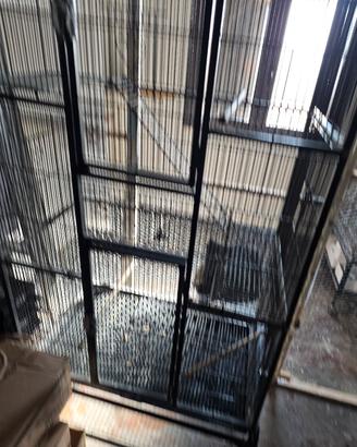 Voliera per uccelli in ferro