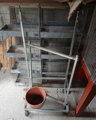 carrello portagabbie