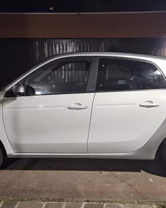 1.0 Passion 71cv twinamic my18