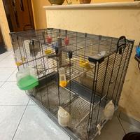 Voliera / Gabbia Ferplast Piano 6