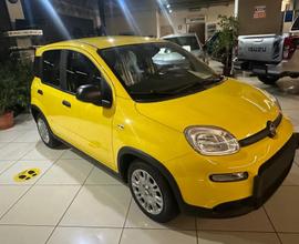 Fiat Panda 1.0 FireFly S&S Hybrid PANDINA