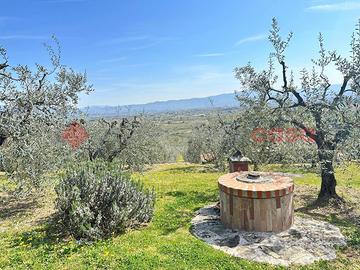 Terreno Agricolo Arezzo [Rif. VA13VCG]