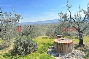 Terreno Agricolo Arezzo [Rif. VA13VCG]