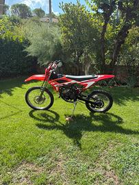 Beta RR50 2024