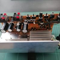 Subwoofer AIWA TS-W60 parte elettronica (ricambi)