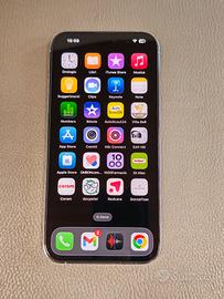 iPhone 14 pro max completo di accessori 